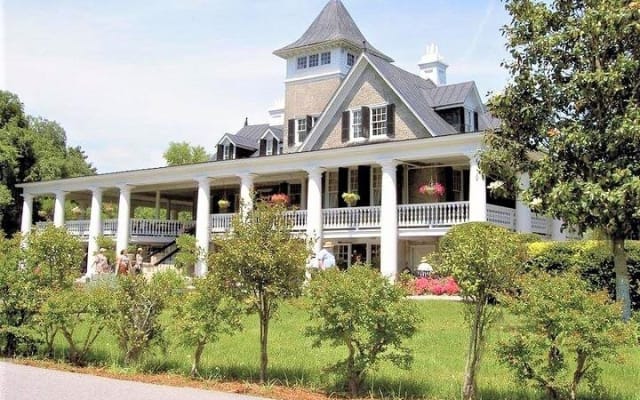 Magnolia Plantation Tour from Charleston