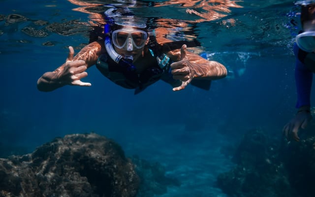 Sunset Glow Snorkel at Turtle Town