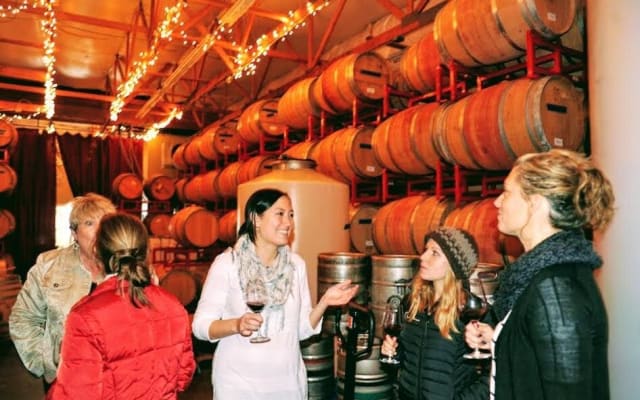 Snoqualmie Falls Wine Tasting Tour