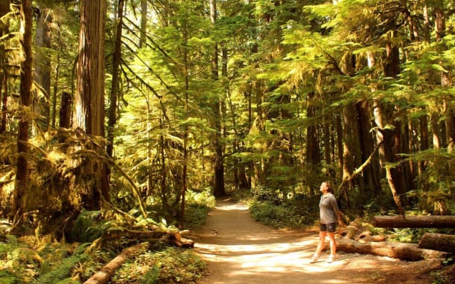 Olympic National Park Day Tour from Seattle