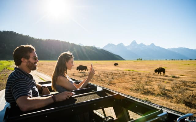 Private Sunset Grand Teton Wildlife Adventure