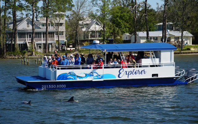 Orange Beach Dolphin Eco Boat Tour