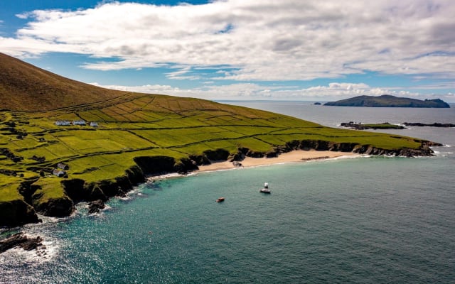 Dingle Dolphin Blasket Adventures
