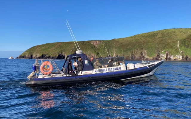 Private family sea safari 