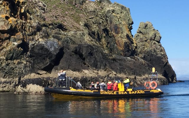 Exhilarating Rib experience - Dingle sea safari 