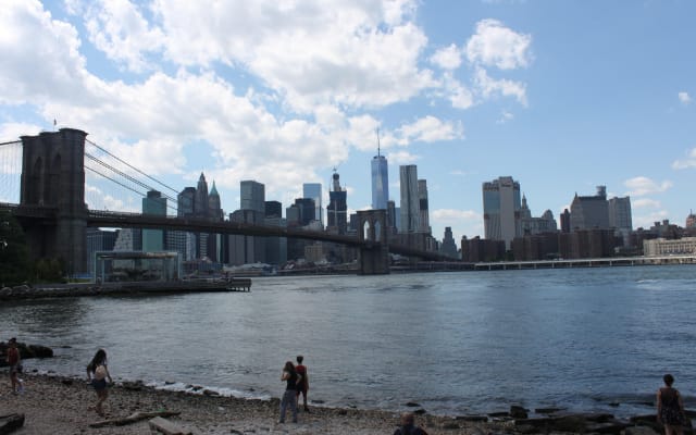 Private Dumbo & Brooklyn Heights Walking Tour
