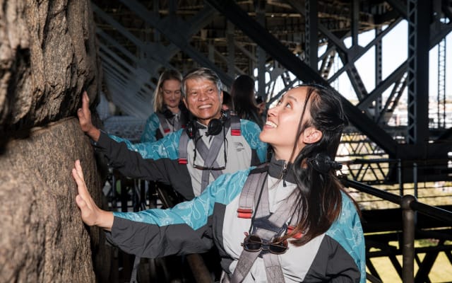 UnderBridge Walk Sydney Harbour Bridge