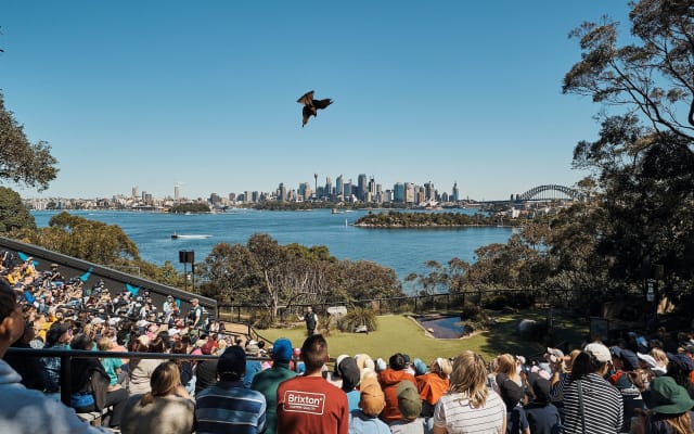 Sydney Taronga Zoo's Aussie Backyard Adventure Tour