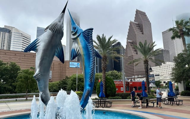 Houston City Tour and Downtown Aquarium All Rides Pass
