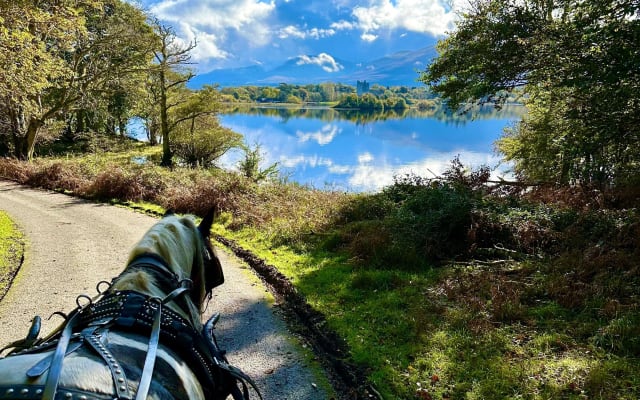 Killarney National Park Tour