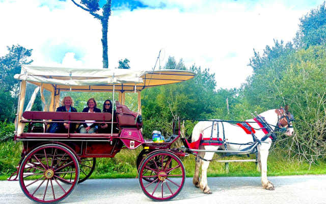 Killarney Jaunting Car Tour