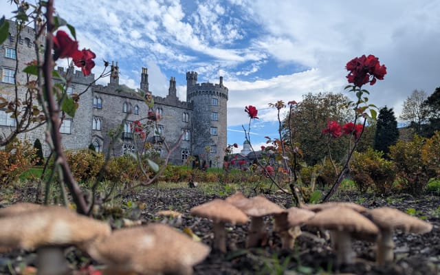 Private walking Tour of Kilkenny. English, French or German