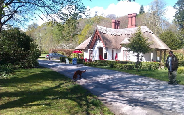 Guided Killarney National Park Walking Tour
