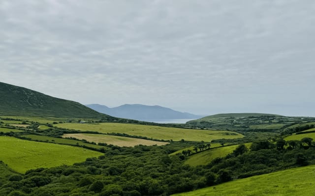  Private Dingle & Slea Head Luxury Tour with No 1 Local Guide