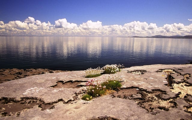 Stones & Stories Private Walk. Burren, Co Clare. Guided. 2 hours.