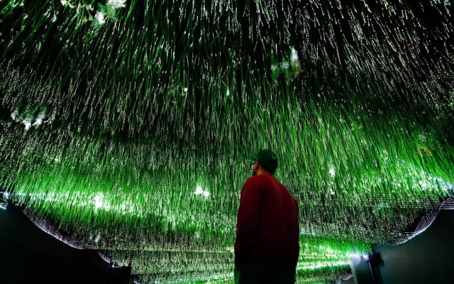 Art Club is an Immersive Museum of New Media Artworks at POST.