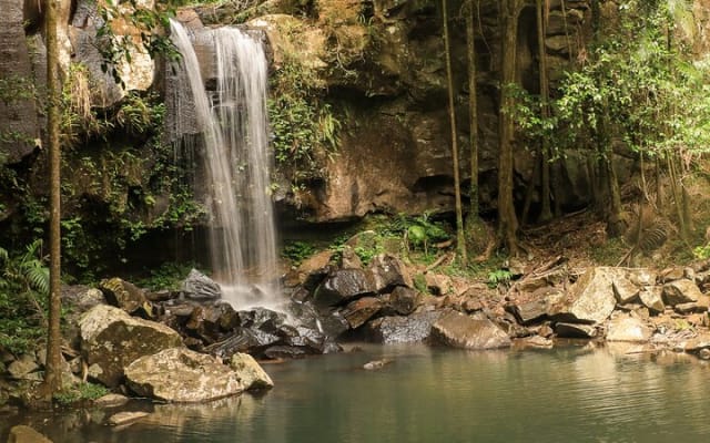 Tamborine Mountain Winery and Glow Worm Caves Tour