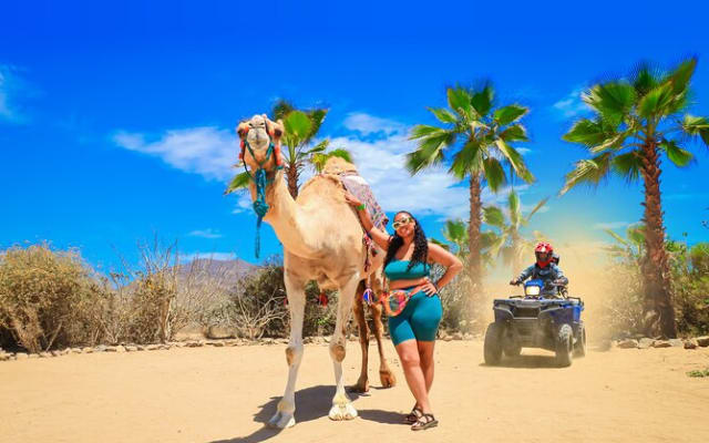 Cabo ATV, Camel Ride & Tequila Tasting