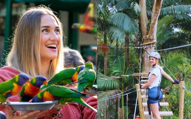 Currumbin Wildlife Sanctuary & Treetop Challenge