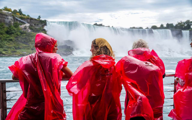 Day and Night Combo Tour of Niagara Falls, Canada