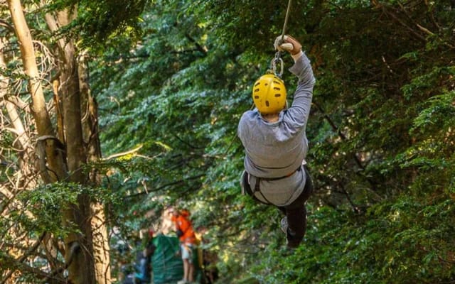 Canopy Cerro Lopez Vuela entre Árboles en Bariloche
