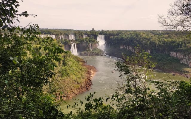 Entrada Macuco Safari en Foz do Iguaçu con recorrido selva y cataratas