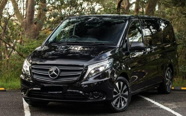 Private Blue Mountains Tour with Wildlife Encounters