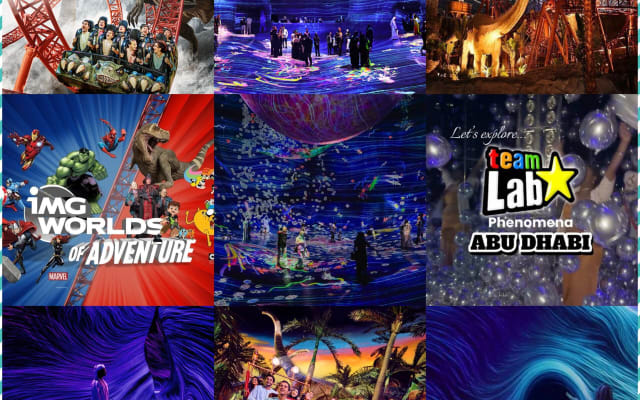 TeamLab Phenomena & IMG Worlds Combo Ticket
