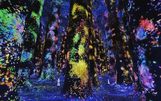 TeamLab Phenomena + The National Aquarium