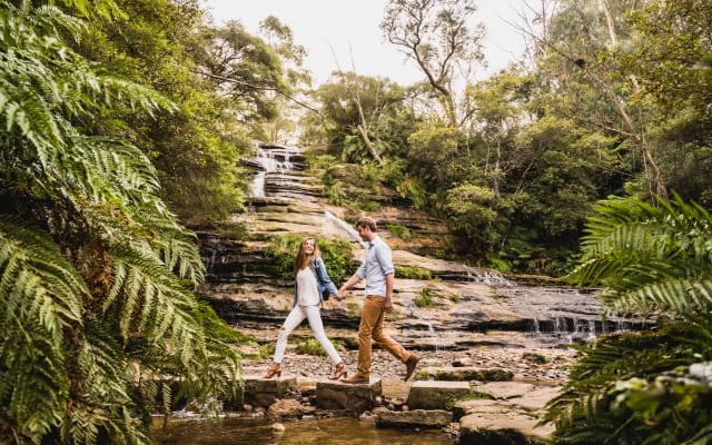 Blue Mountains Hop on Hop off + Scenic World - One Day Pass