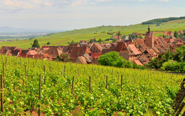 8-Day Alsace & Burgundy Small Group Package Wines & Culture