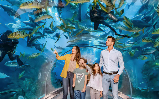 Dubai Frame + Dubai Aquarium and Underwater Zoo