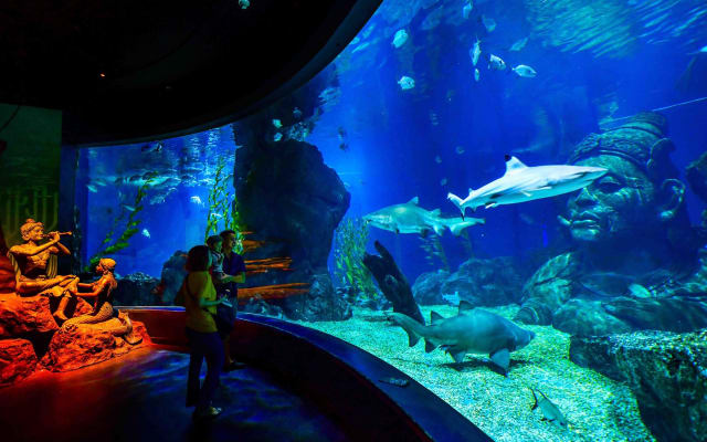 SEA LIFE Bangkok Ocean World 
