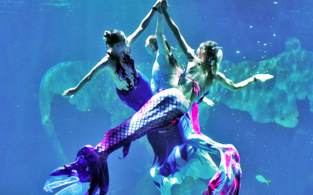 Andamanda Phuket + Aquaria Phuket Combo Ticket