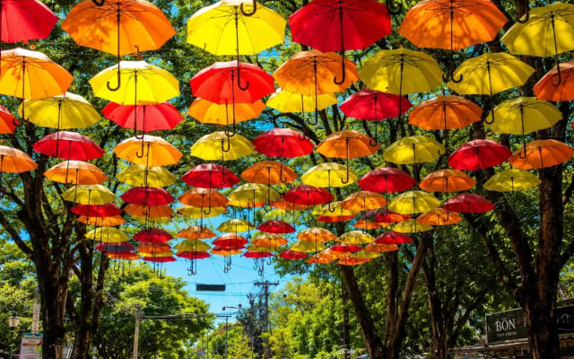 Excursión a Holambra desde São Paulo