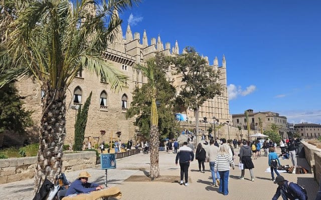 Palma Cathedral & Old Town Walking Tour