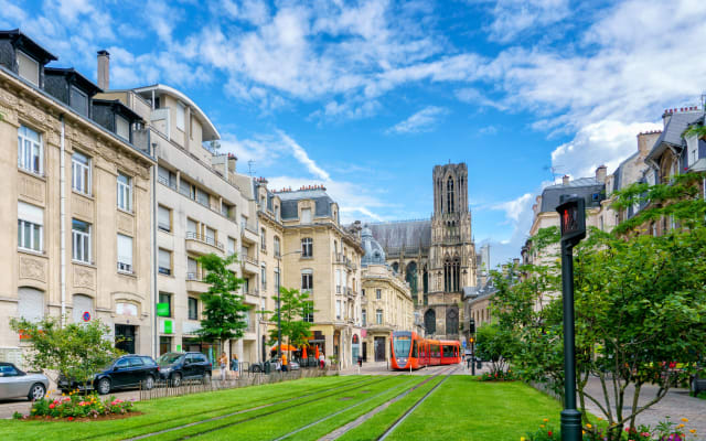 Small Group Champagne Tasting Tour From Reims