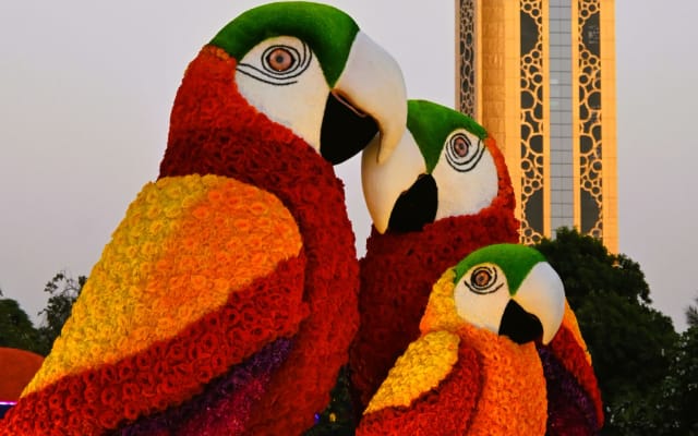 Dubai Garden Glow Illuminated Art Tickets