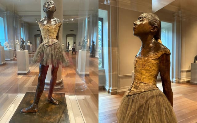 DC National Gallery of Art Museum Tour - Semi-Private 8ppl Max