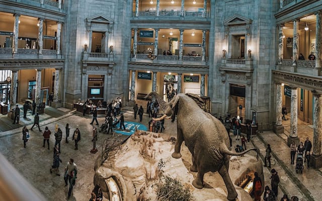 Smithsonian National Museum of Natural History Tour - Semi-Private 8ppl Max