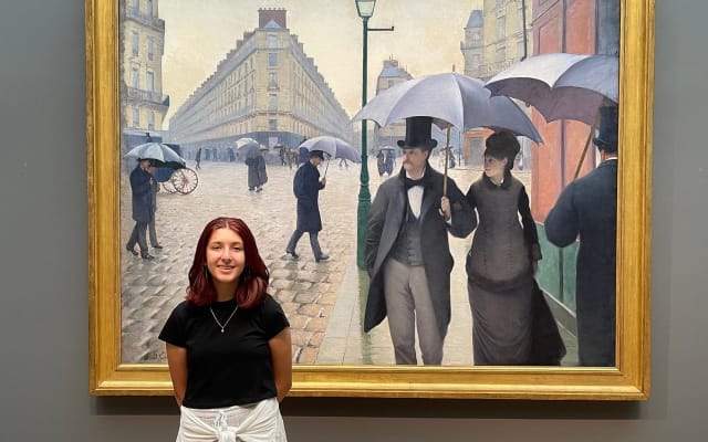 Art Institute of Chicago Guided Tour - Private