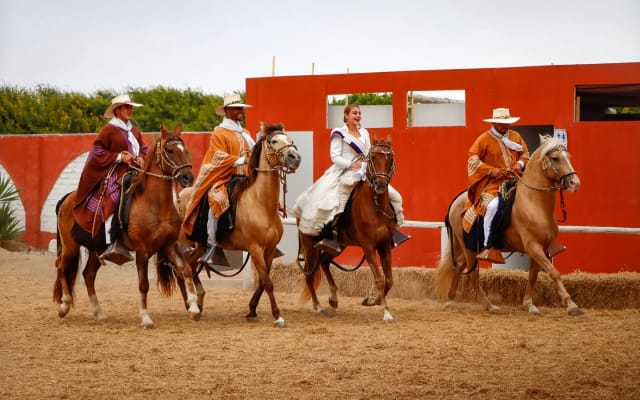 Show de Caballo Peruano de Paso en Trujillo