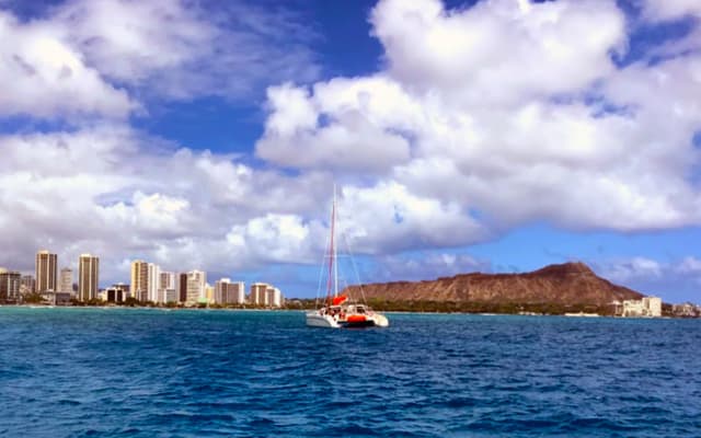 Fun In The Sun Sailing (Waikiki)