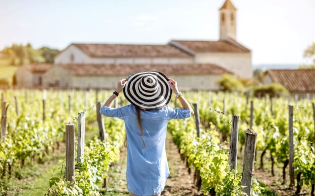 Saint Emilion Wine Tour from Saint Emilion (private)