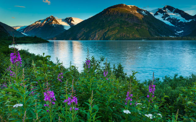 Turnagain Arm Highlights