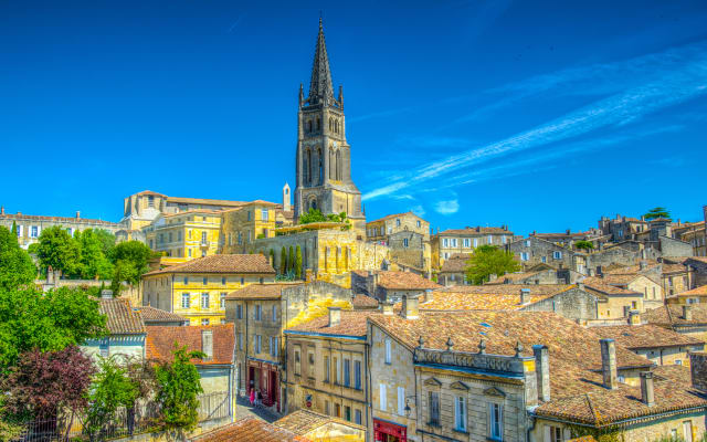 Saint-Émilion Full-Day Wine Tour from Bordeaux - Small Group