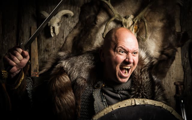 Private Icelandic Viking Age Walking Tour