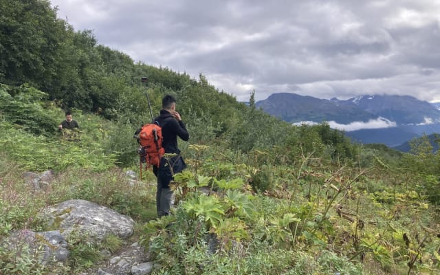 4-hour Seward Wilderness Hiking