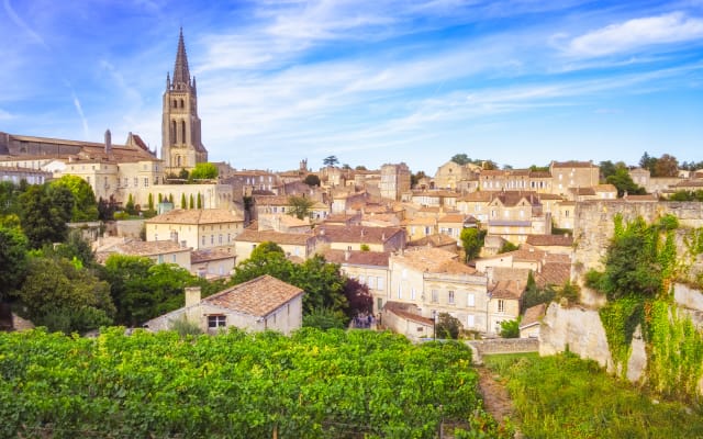 Saint Emilion Guided Walking Tour (private)