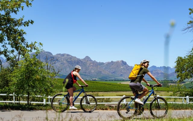Stellenbosch Luxury Winelands EBike Tour ©